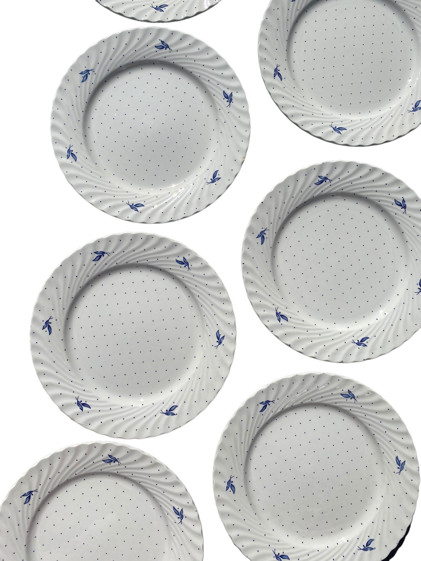 Lot de 8 assiettes plates Nueva Fontebasso