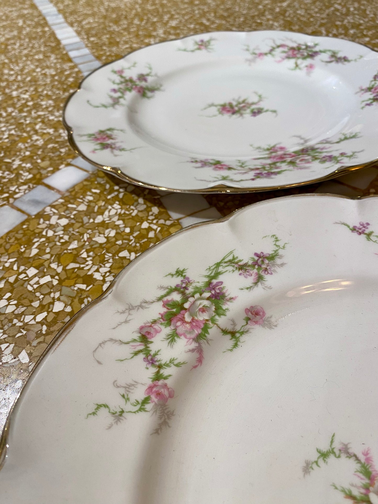 Lot de 2 grandes assiettes du service Rosalinde de Limoges - 26 cm