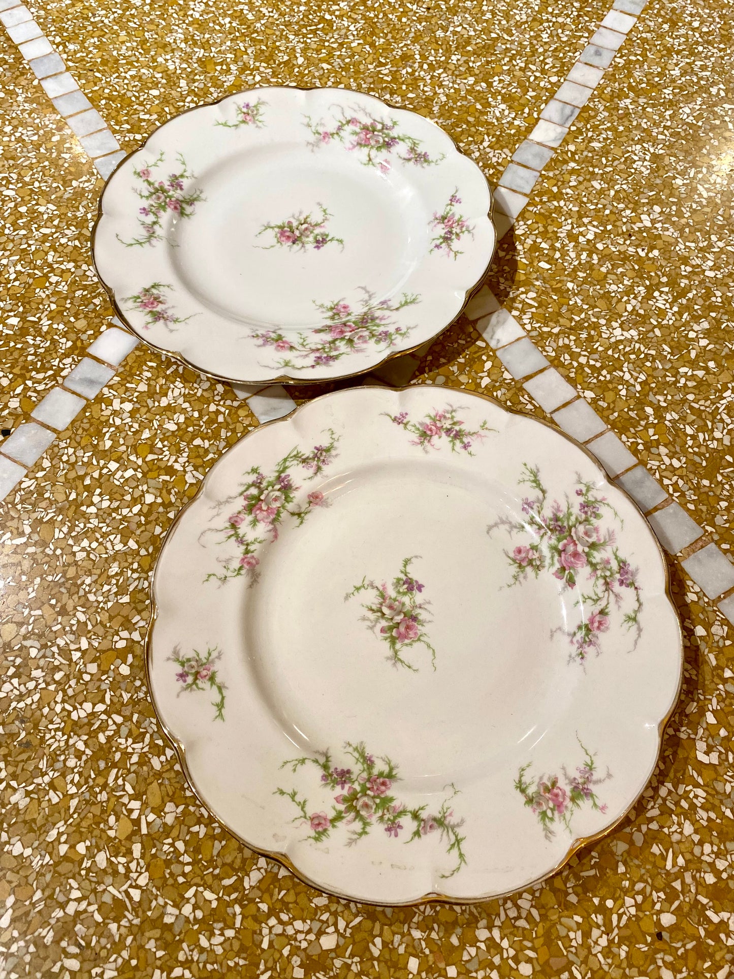 Lot de 2 grandes assiettes du service Rosalinde de Limoges - 26 cm