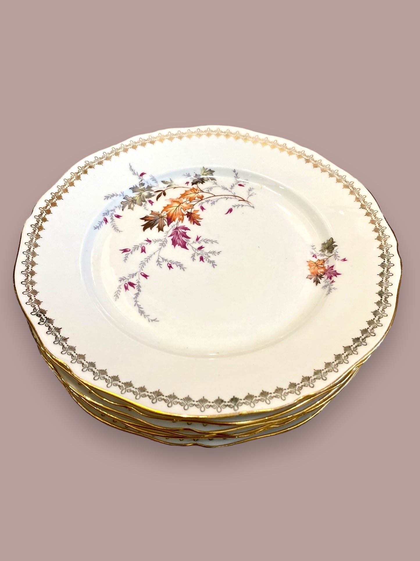 Mary - Lot de 6 assiettes plates en porcelaine