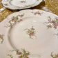 Lot de 2 grandes assiettes du service Rosalinde de Limoges - 26 cm