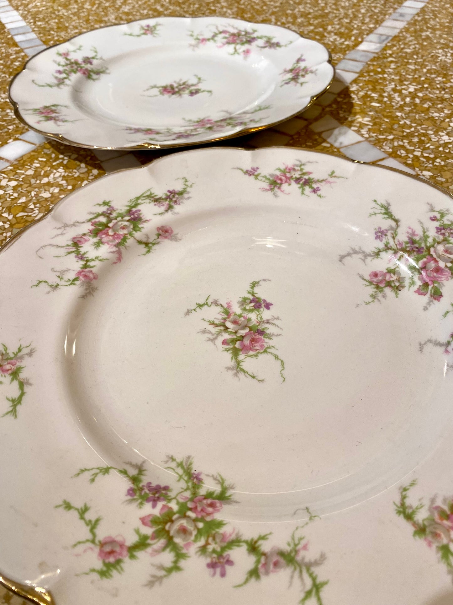 Lot de 2 grandes assiettes du service Rosalinde de Limoges - 26 cm