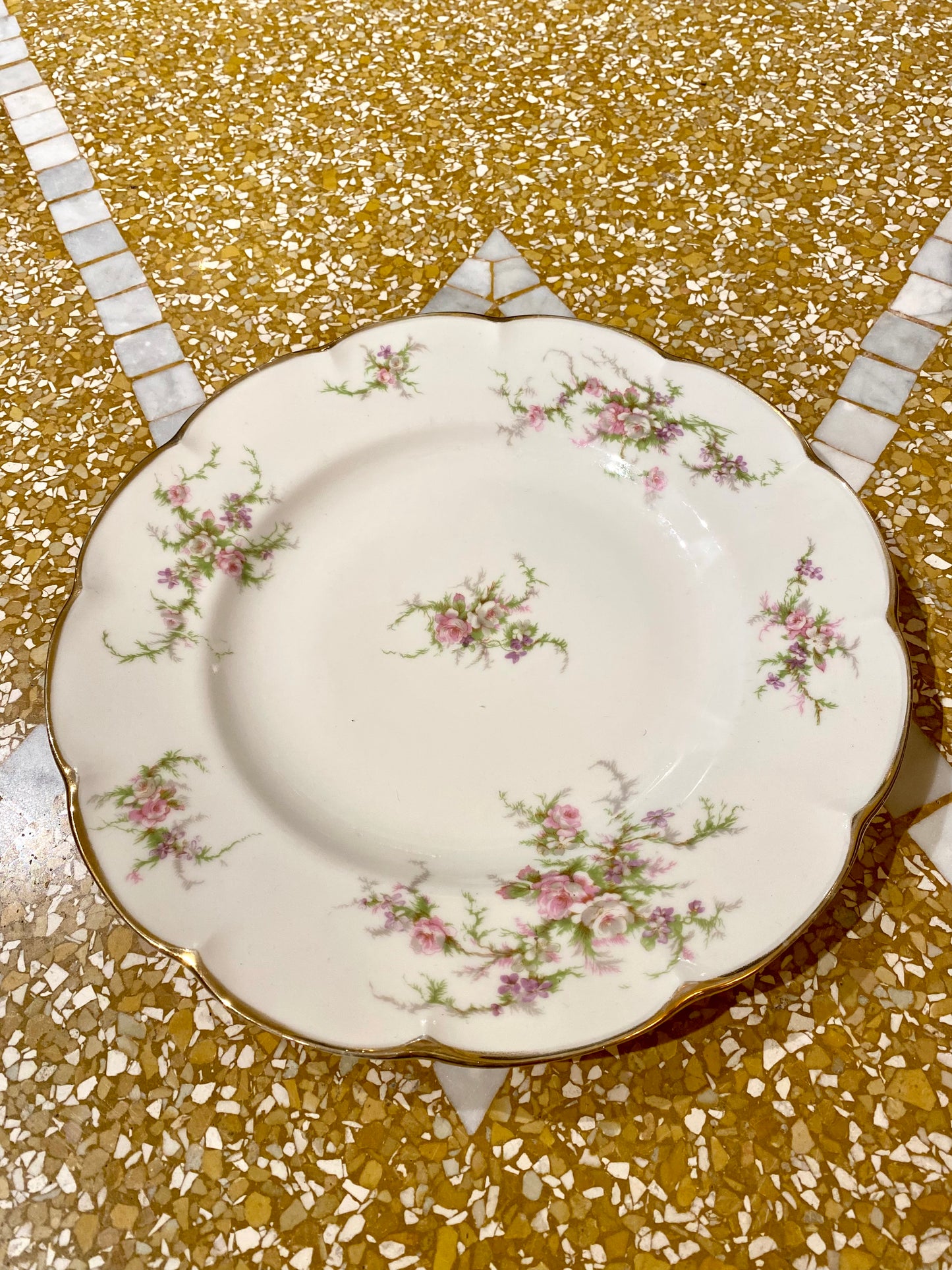 Lot de 2 grandes assiettes du service Rosalinde de Limoges - 26 cm