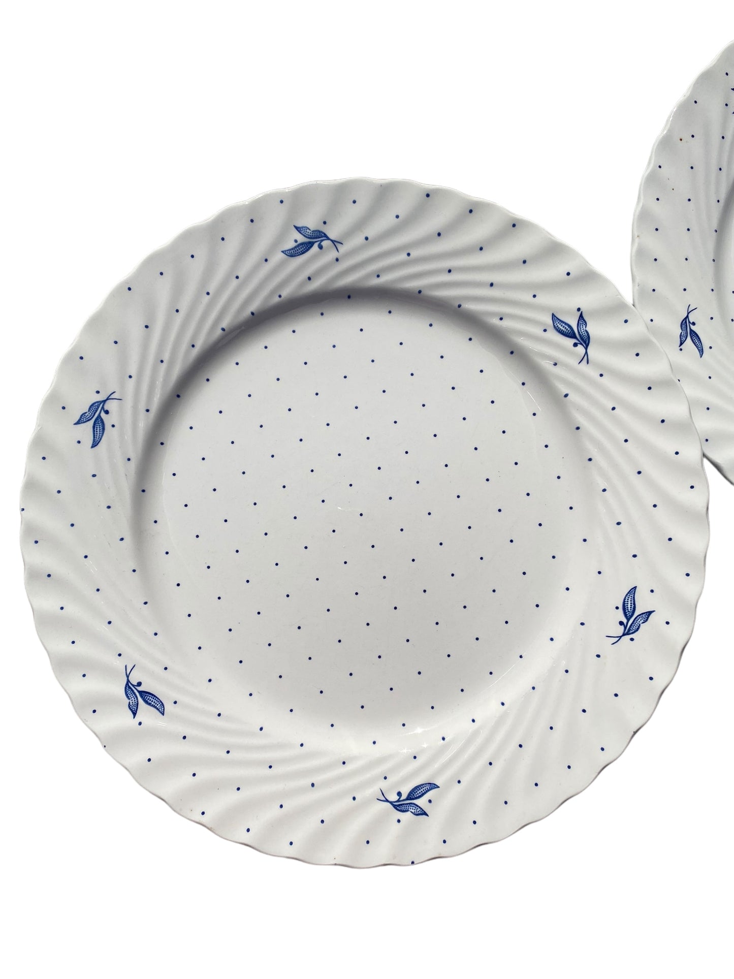 Lot de 8 assiettes plates Nueva Fontebasso