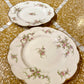 Lot de 2 grandes assiettes du service Rosalinde de Limoges - 26 cm