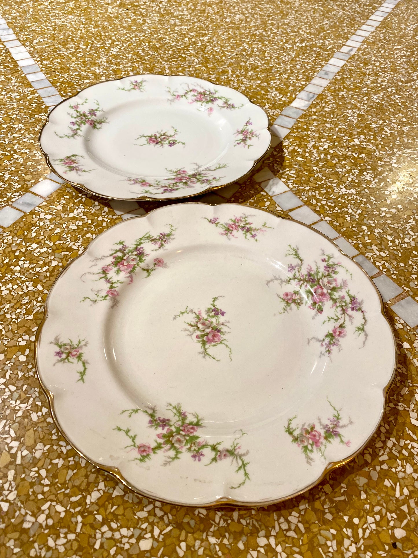 Lot de 2 grandes assiettes du service Rosalinde de Limoges - 26 cm