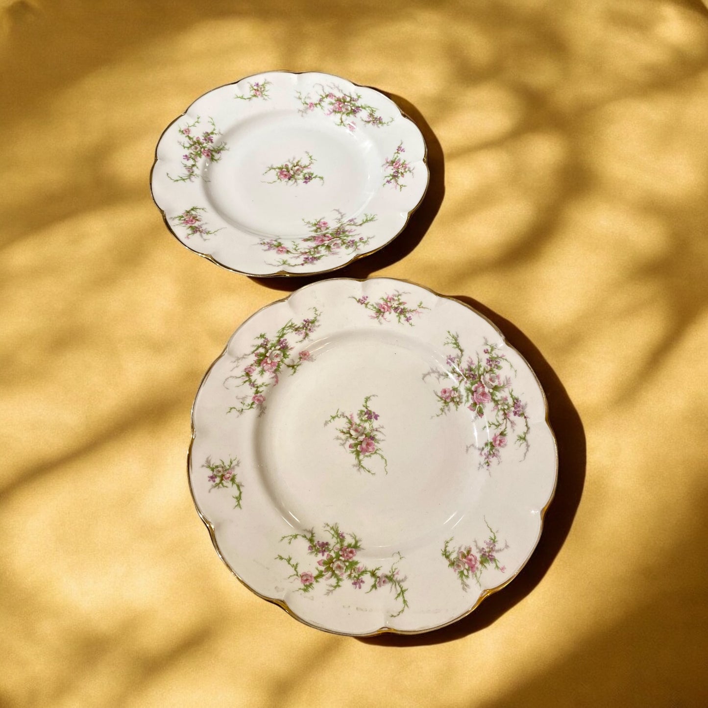 Lot de 2 grandes assiettes du service Rosalinde de Limoges - 26 cm