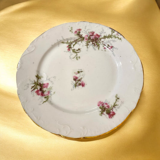 Lot de 6 assiettes à dessert en porcelaine